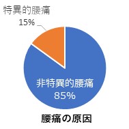 腰痛の原因円グラフ